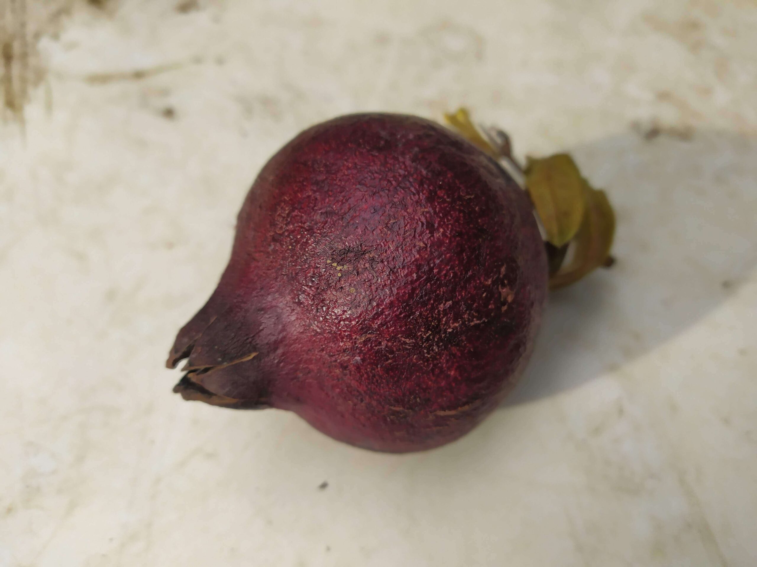 Melograno Nero Belloni
