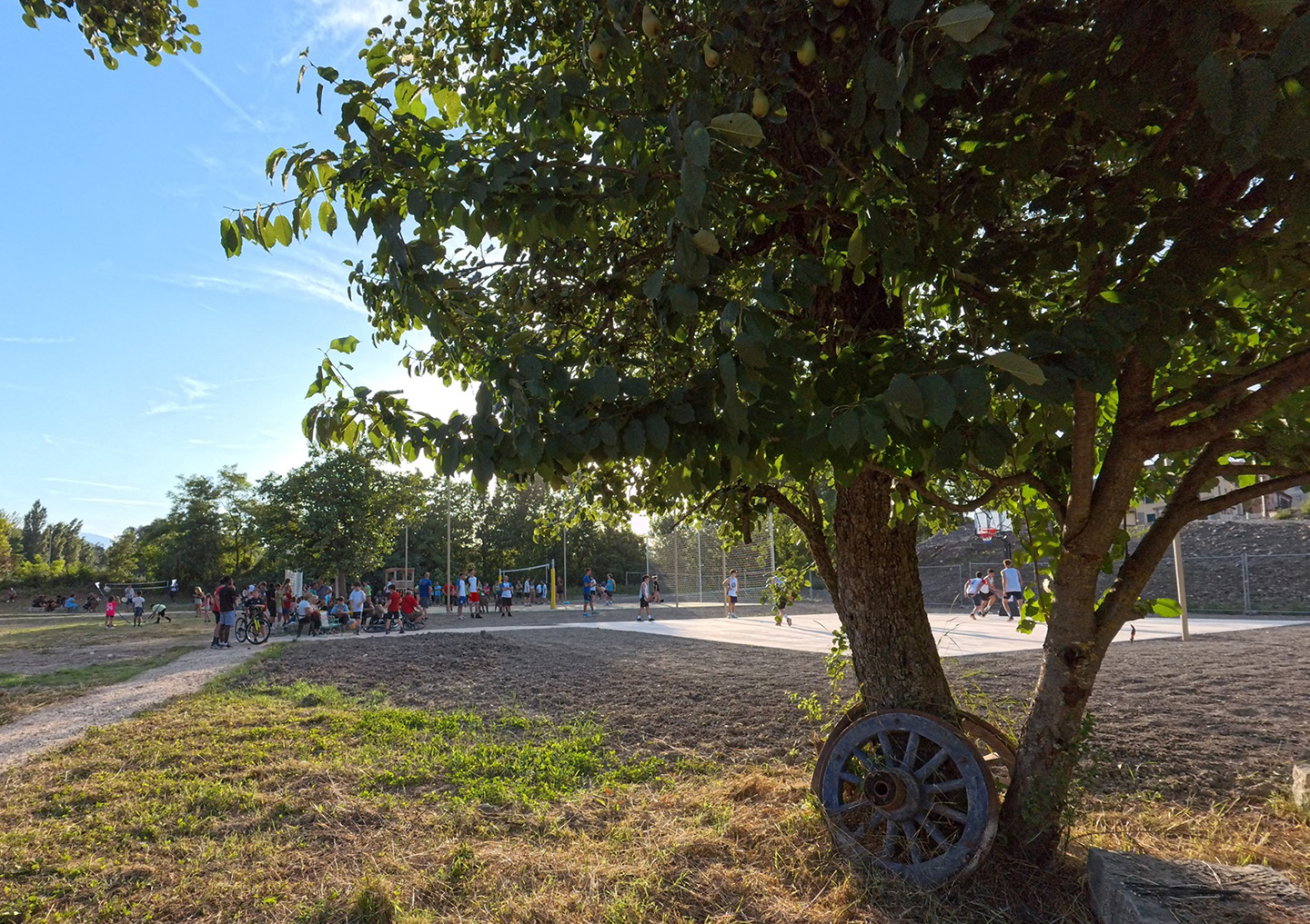 Parco albero ruota