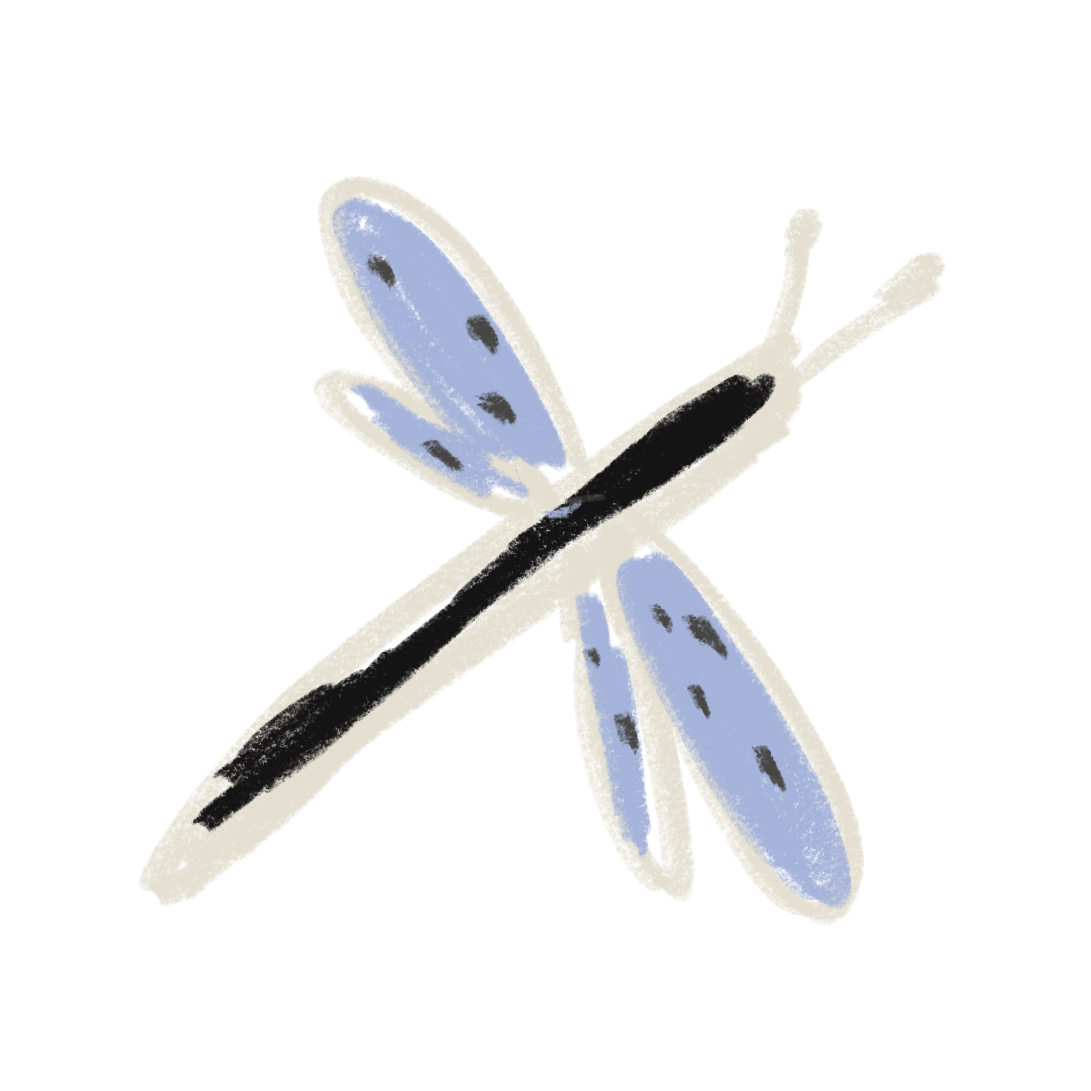 Libellula