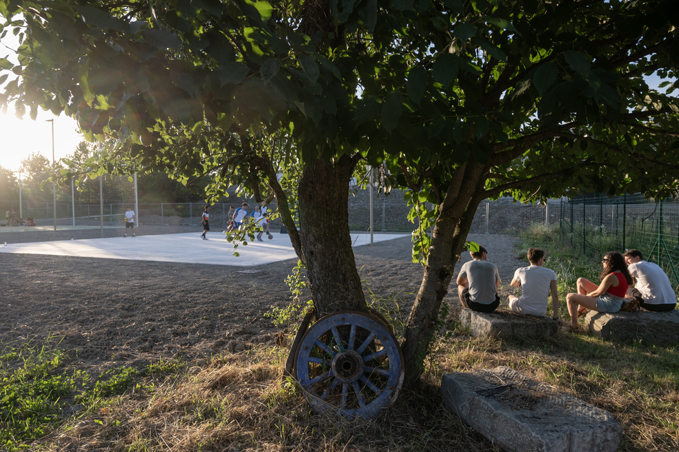 Parco dei melograni albero