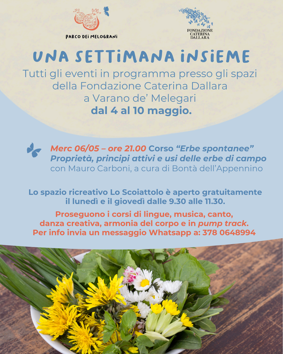 Calendario settimanale Fondazione Caterina Dallara